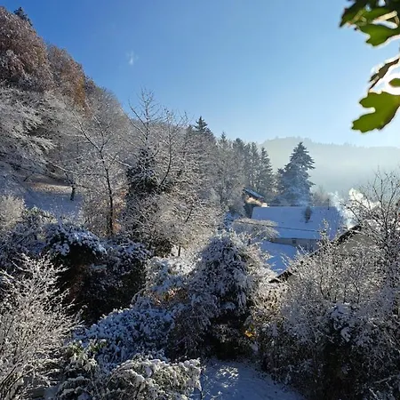 Gemuetliche Waldrandlage In Badenweiler Sehringen Ferienwohnung Esterno foto