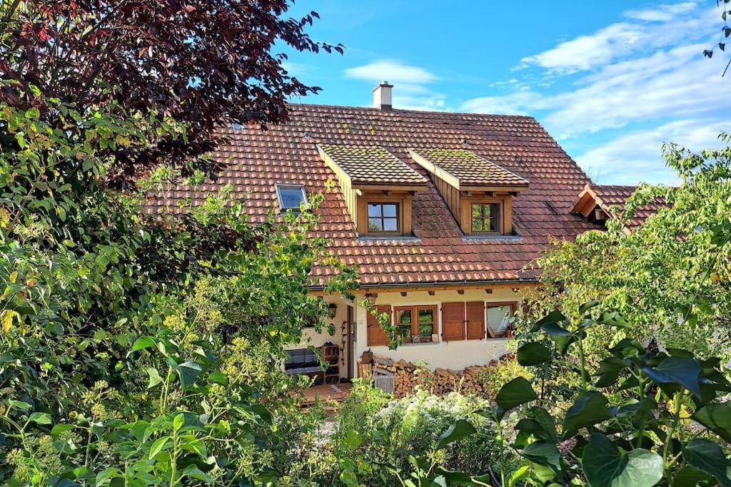 Apartment Gemütliche Waldrandlage In Sehringen *