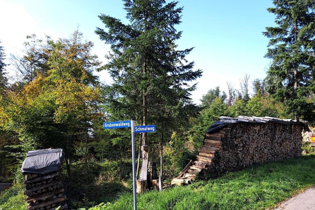 Apartament Gemuetliche Waldrandlage In Sehringen *