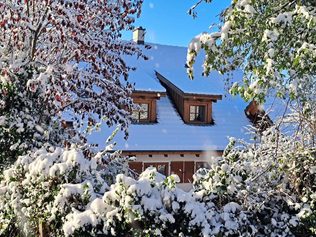 Gemuetliche Waldrandlage In Sehringen Appartamento Badenweiler
